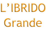 L’IBRIDO Grande