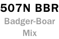 507N BBR Badger-Boar Mix