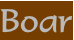 Boar