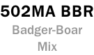 502MA BBR Badger-Boar Mix