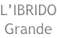 L’IBRIDO Grande