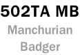 502TA MB Manchurian Badger