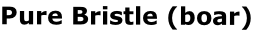 Pure Bristle (boar)